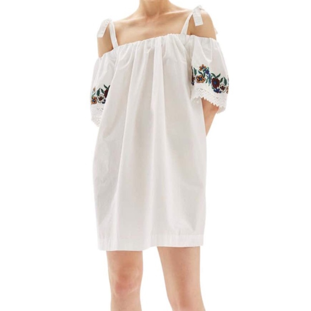 Topshop embroidered mini dress